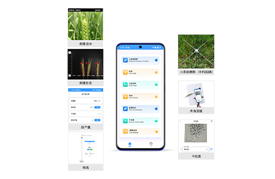信阳市小麦表型检测仪IN-XM04