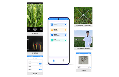 信阳市小麦亩穗数分析仪IN-XM02